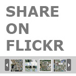 share